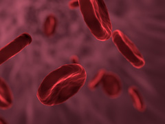 main_img